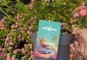 Naturosa